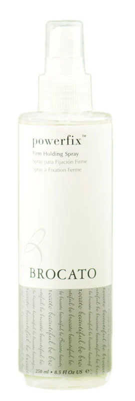 Powerfix Firm Holding Spray - Size : 8.5 oz