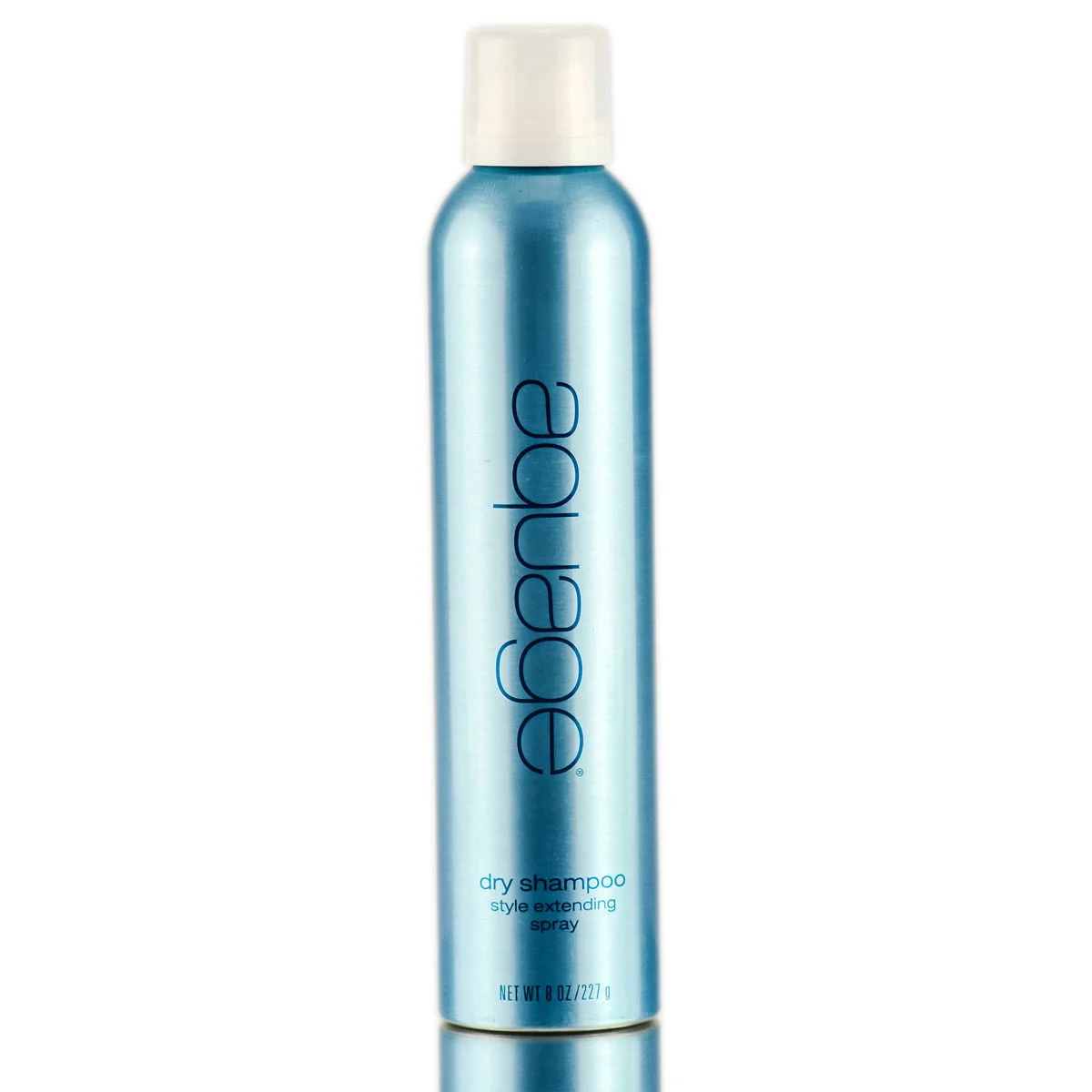 Dry Shampoo Extending Spray - 8 oz