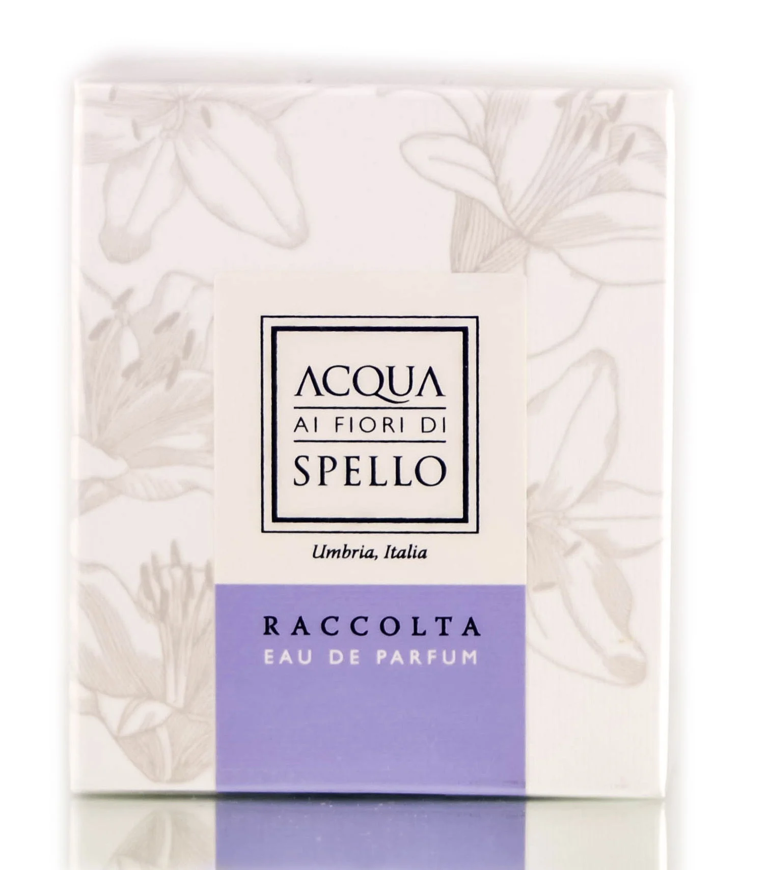 Fragrance - Raccolta