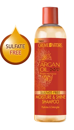 Creme of Nature Argan Oil from Morocco Moisture & Shine Shampoo 12 oz