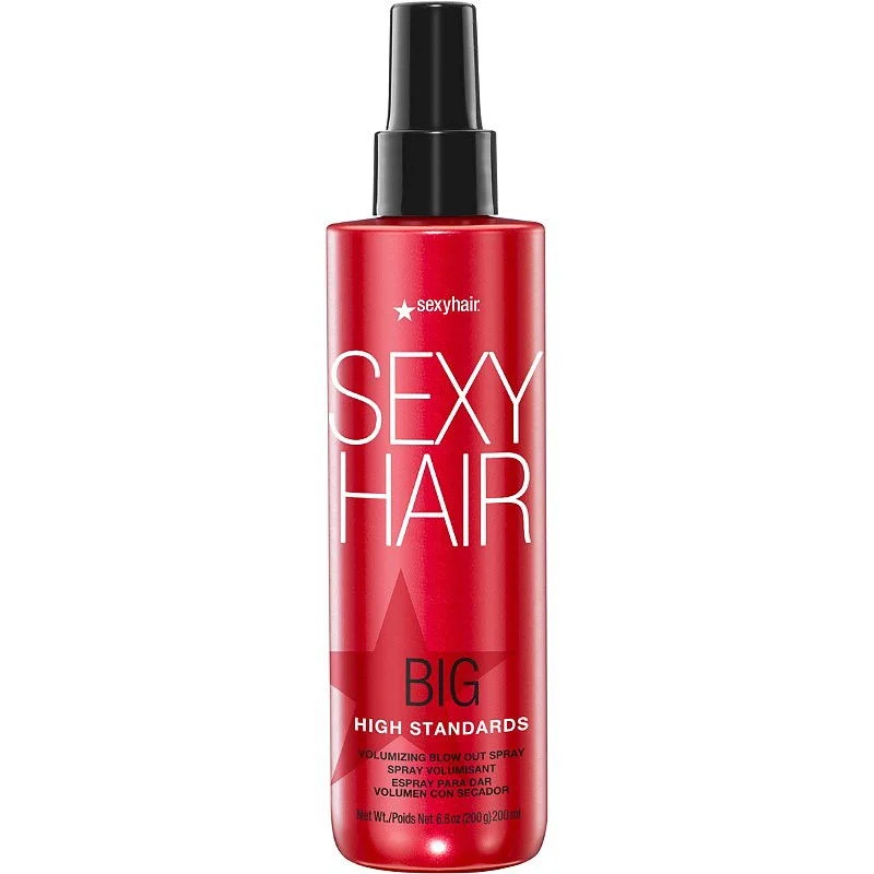 Big High Standards Volumizing Blowout Spray - 6.7 oz