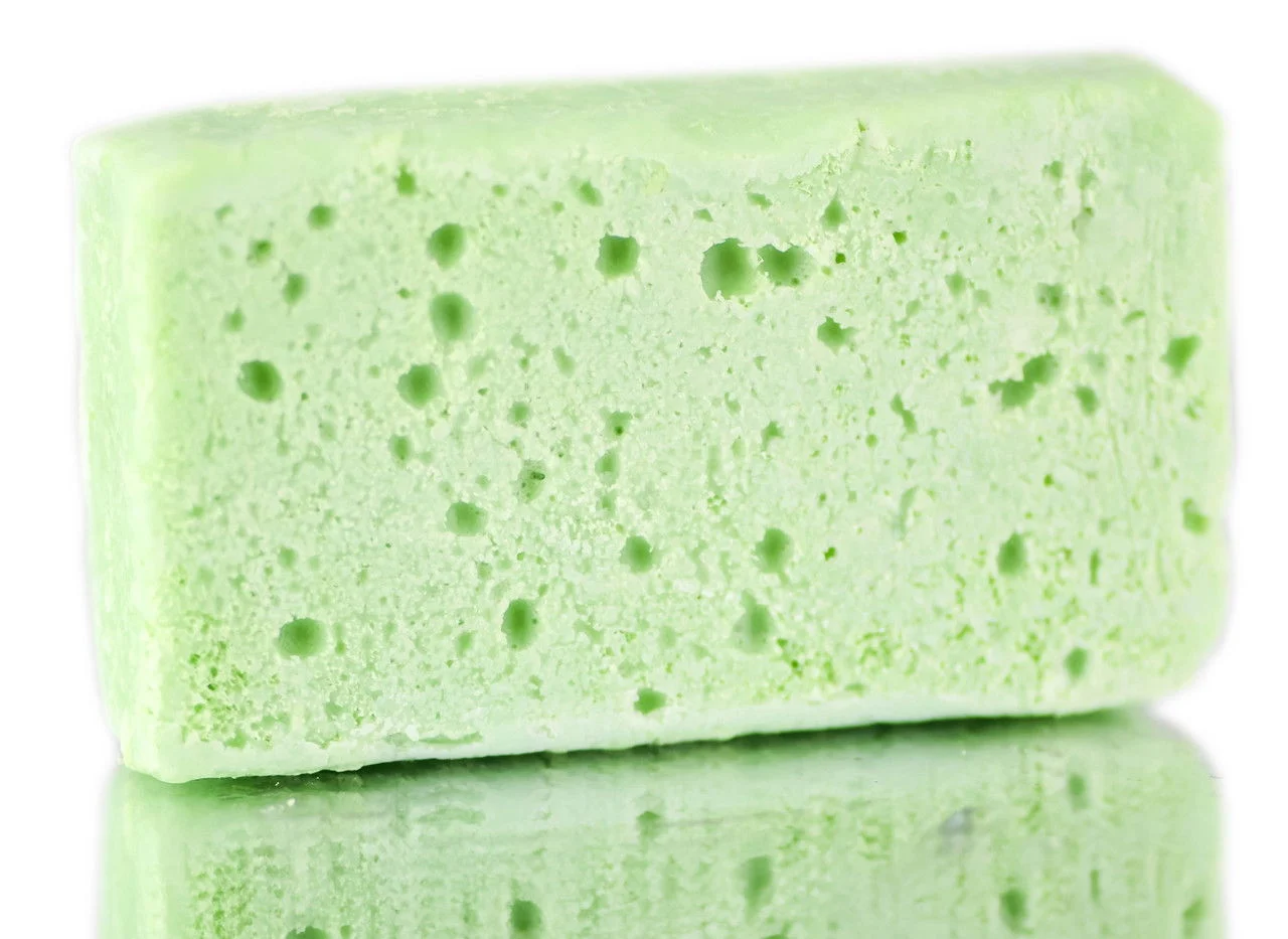 Aloe Soap Sponge - Aloe Soap
