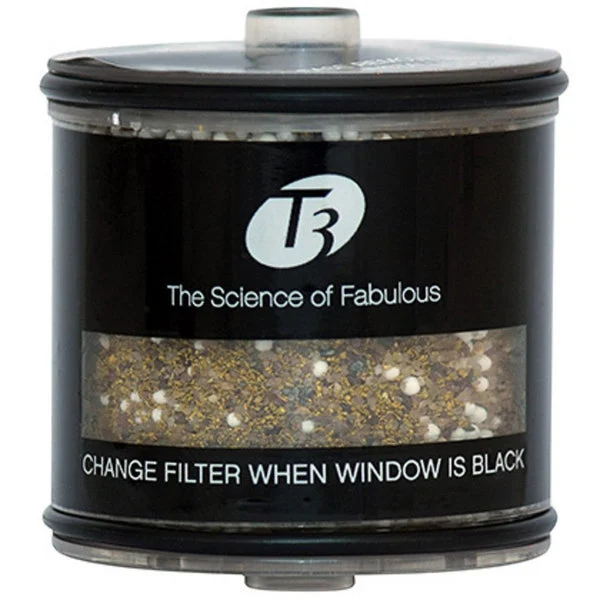 T3 SOURCE FILTER-INLINE